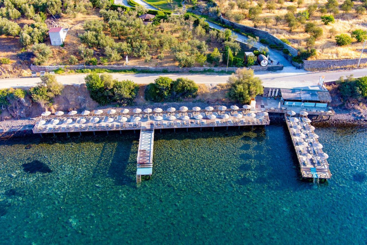 Assos Dionysos Special Class Hotel Adults Only 12 Years Eksteriør bilde